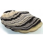 Mexican Onyx Scalloped Altar Dish 06